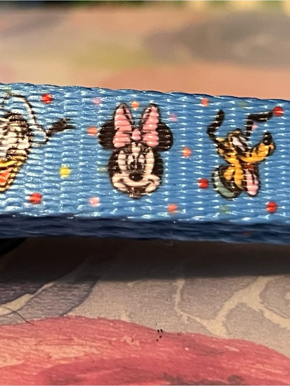 Disney Blue Cat Leash  with Mickey Pattern